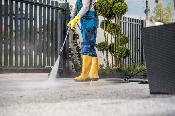 Best Rust Removal  in Deerfield, MI